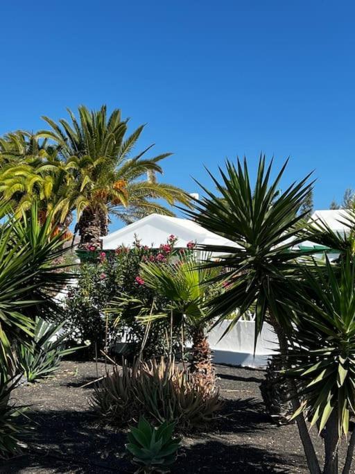 Lovely Casita Jade Playa Blanca  Exteriér fotografie